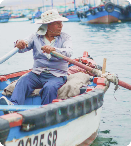 Pesca